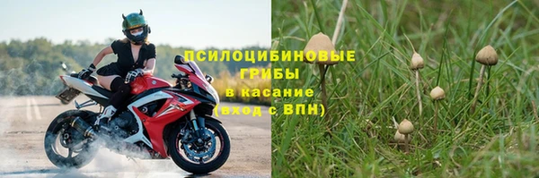 мдпв Богородицк